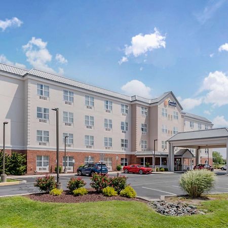 Comfort Inn & Suites Dover Eksteriør billede